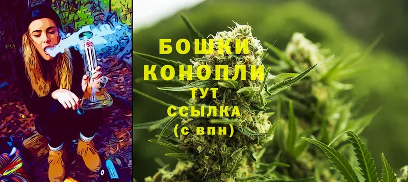 Шишки марихуана THC 21%  omg зеркало  Нефтегорск 